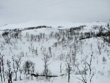 Getryggen 2