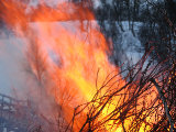 Bonfire 1