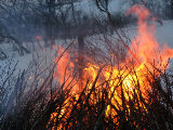 Bonfire 2
