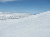 Fjelds 1