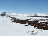 Fjelds 2