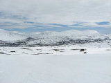 Fjelds 3