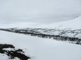 Fjelds 5