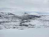 Fjelds 6