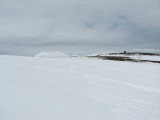 Reindeer fence 2