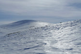 Gåsen 2