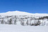 Getryggen 1