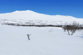 Storulvn fjeld station 3