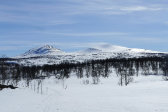 Tjallingklumpen & Gåsen 2