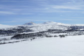 Tjallingklumpen & Gåsen 3