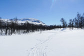 Tracks 1