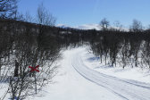Trail 1