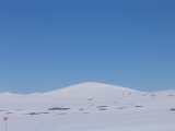 Gåsen 1