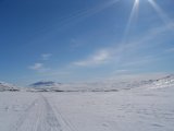 Fjelds 2