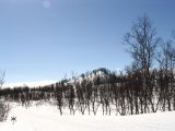 Fjelds 5