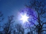 Sun 1