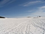 Tracks 1