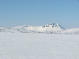 Ekorrhammaren 1