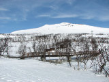 Getryggen 1