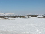 Fjelds 1