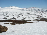 Fjelds 2