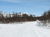 Trail 3