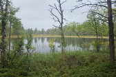 Bur�stj�rnen 1