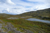 Holkendurrie 10
