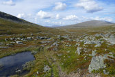 Holkendurrie 11