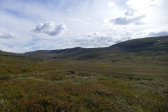 Holkendurrie 12