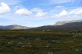Holkendurrie 2