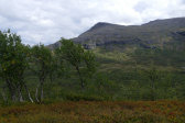 Lill-Stensdalsfj�llet 2