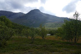 Lill-Stensdalsfj�llet 7