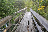 Ljungdalen 11