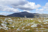 �stra Bunnerst�ten 3