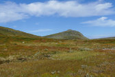 Snusest�ten 1