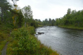 Stens�n 5