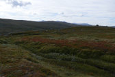 Sylarna 11