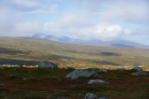 Sylarna 13