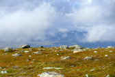 Clouds 10