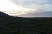 Evening 1
