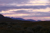 Evening 5