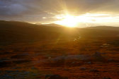 Evening 10