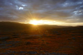 Evening 11