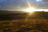 Evening 1
