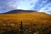 Evening 4