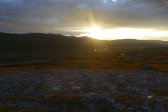 Evening 5