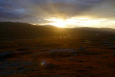 Evening 8