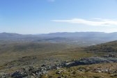 Fjelds 1