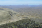 Fjelds 9
